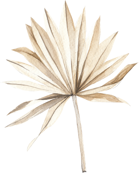 Dried palm leaf watercolor illustration